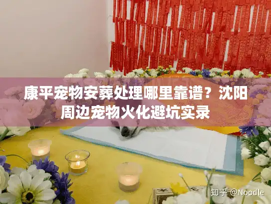 康平宠物安葬处理哪里靠谱？沈阳周边宠物火化避坑实录