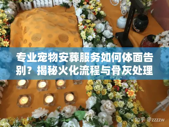 专业宠物安葬服务如何体面告别？揭秘火化流程与骨灰处理