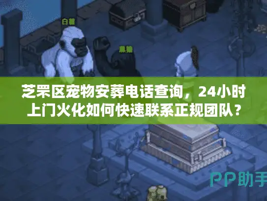 芝罘区宠物安葬电话查询，24小时上门火化如何快速联系正规团队？