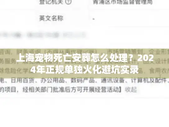 上海宠物死亡安葬怎么处理？2024年正规单独火化避坑实录