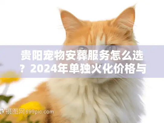 贵阳宠物安葬服务怎么选？2024年单独火化价格与流程深度解析