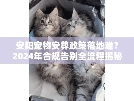 安阳宠物安葬政策落地难？2024年合规告别全流程揭秘