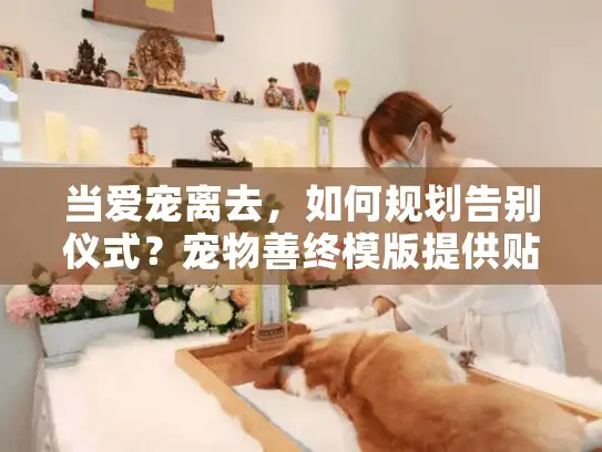 当爱宠离去，如何规划告别仪式？宠物善终模版提供贴心方案