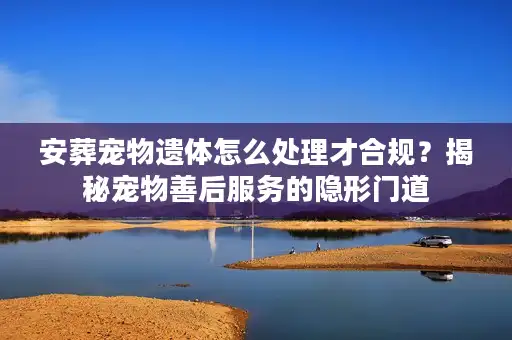 安葬宠物遗体怎么处理才合规？揭秘宠物善后服务的隐形门道