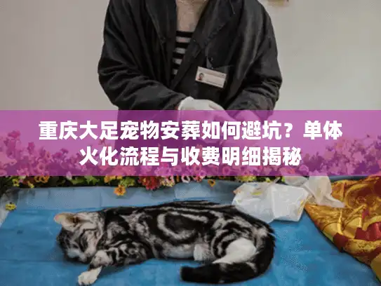 重庆大足宠物安葬如何避坑？单体火化流程与收费明细揭秘