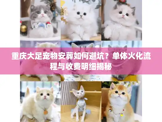 重庆大足宠物安葬如何避坑？单体火化流程与收费明细揭秘