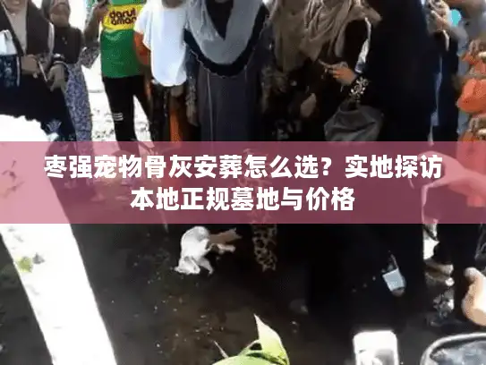 枣强宠物骨灰安葬怎么选？实地探访本地正规墓地与价格