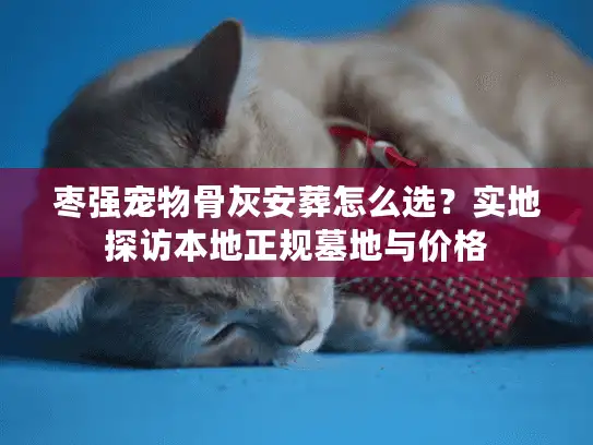 枣强宠物骨灰安葬怎么选？实地探访本地正规墓地与价格