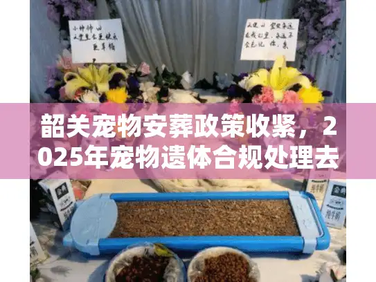 韶关宠物安葬政策收紧，2025年宠物遗体合规处理去哪办？
