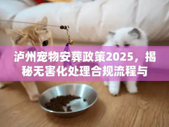 泸州宠物安葬政策2025，揭秘无害化处理合规流程与避坑实战