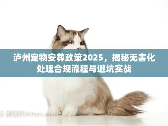 泸州宠物安葬政策2025，揭秘无害化处理合规流程与避坑实战