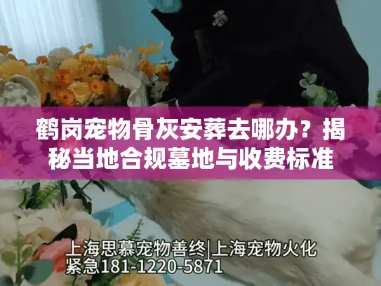 鹤岗宠物骨灰安葬去哪办？揭秘当地合规墓地与收费标准