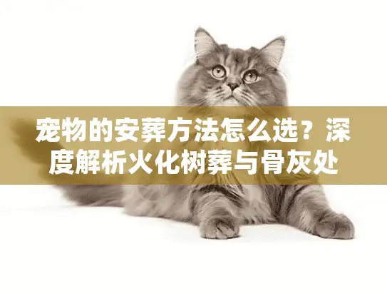 宠物的安葬方法怎么选？深度解析火化树葬与骨灰处理实操