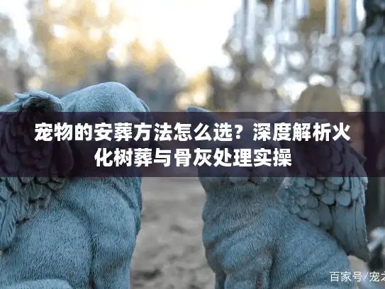 宠物的安葬方法怎么选？深度解析火化树葬与骨灰处理实操