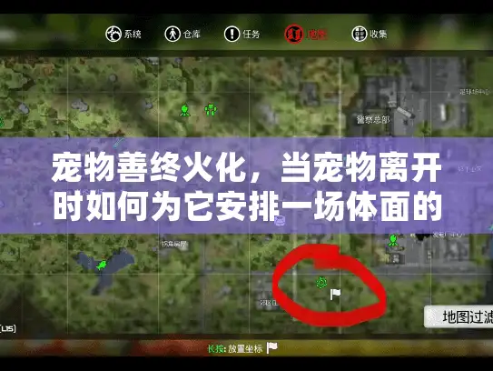 宠物善终火化，当宠物离开时如何为它安排一场体面的告别？