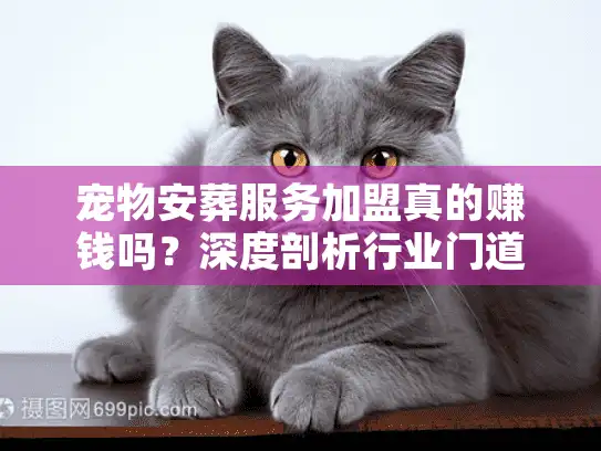 宠物安葬服务加盟真的赚钱吗？深度剖析行业门道与内幕