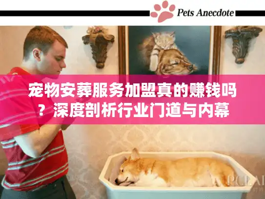宠物安葬服务加盟真的赚钱吗？深度剖析行业门道与内幕