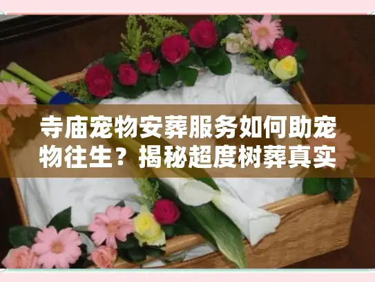 寺庙宠物安葬服务如何助宠物往生？揭秘超度树葬真实价格与流程