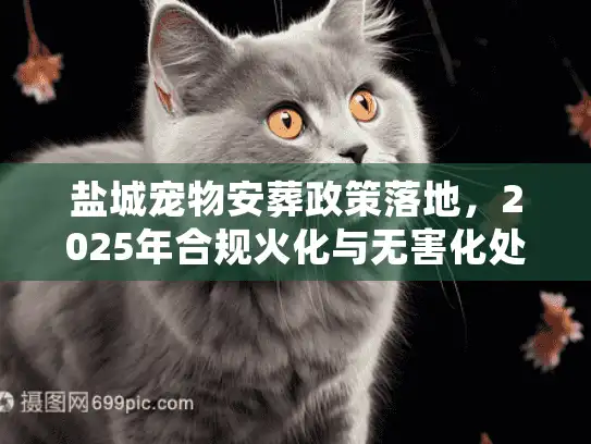 盐城宠物安葬政策落地，2025年合规火化与无害化处理实操