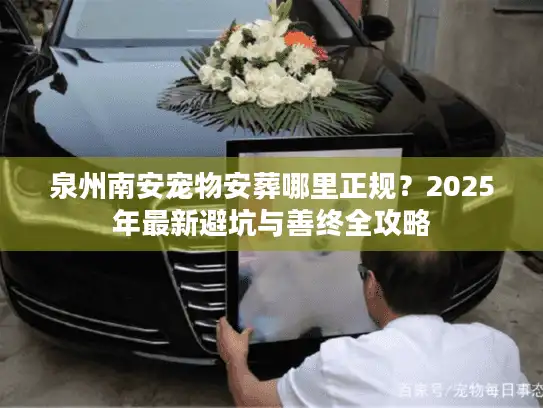 泉州南安宠物安葬哪里正规？2025年最新避坑与善终全攻略