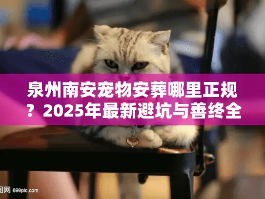 泉州南安宠物安葬哪里正规？2025年最新避坑与善终全攻略