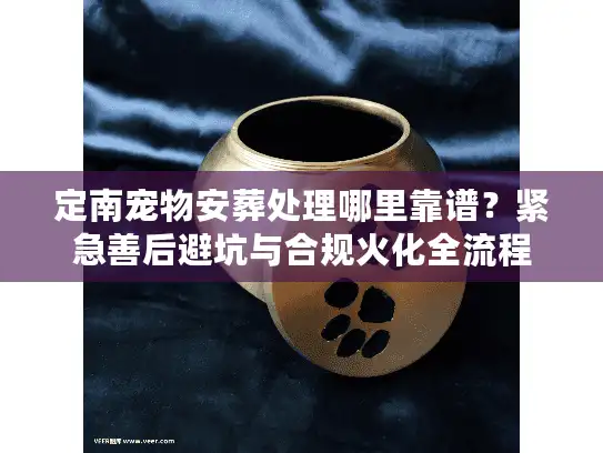 定南宠物安葬处理哪里靠谱？紧急善后避坑与合规火化全流程