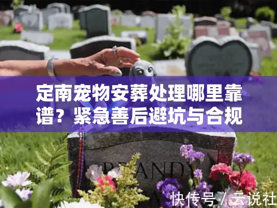 定南宠物安葬处理哪里靠谱？紧急善后避坑与合规火化全流程