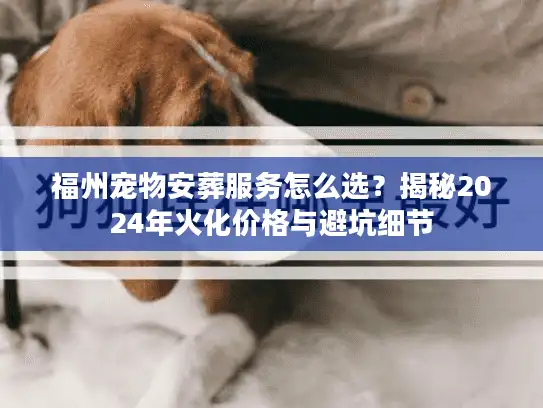 福州宠物安葬服务怎么选？揭秘2024年火化价格与避坑细节