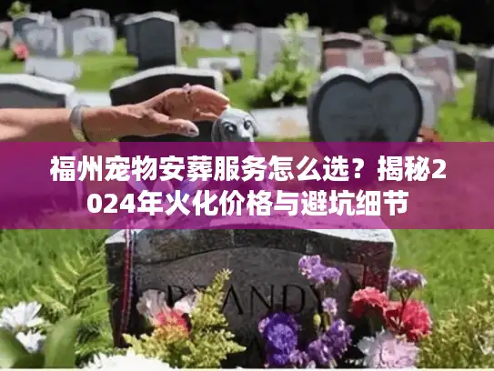 福州宠物安葬服务怎么选？揭秘2024年火化价格与避坑细节