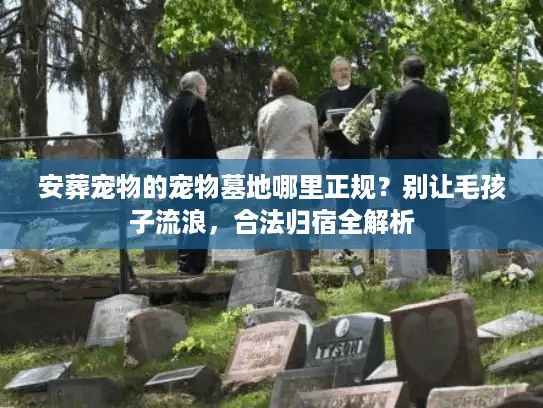 安葬宠物的宠物墓地哪里正规？别让毛孩子流浪，合法归宿全解析