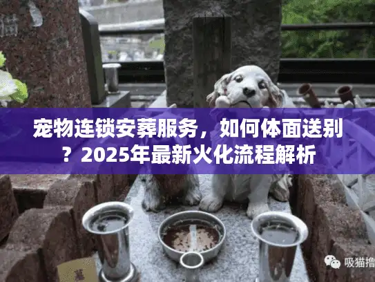 宠物连锁安葬服务，如何体面送别？2025年最新火化流程解析