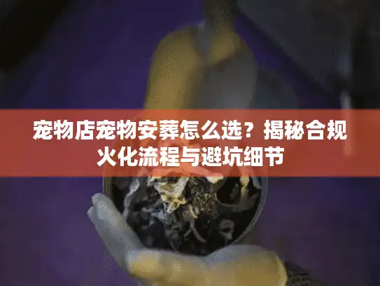 宠物店宠物安葬怎么选？揭秘合规火化流程与避坑细节