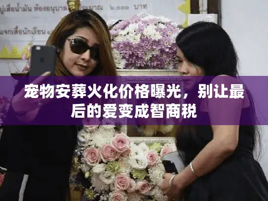宠物安葬火化价格曝光，别让最后的爱变成智商税
