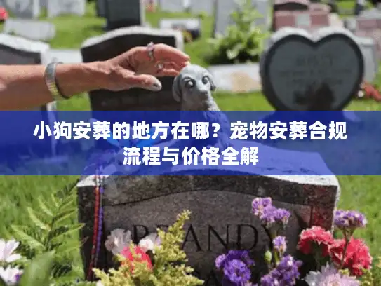 小狗安葬的地方在哪？宠物安葬合规流程与价格全解
