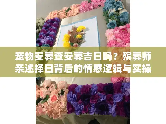 宠物安葬查安葬吉日吗？殡葬师亲述择日背后的情感逻辑与实操
