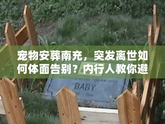 宠物安葬南充，突发离世如何体面告别？内行人教你避坑