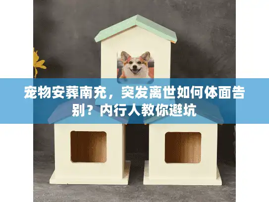 宠物安葬南充，突发离世如何体面告别？内行人教你避坑