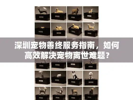 深圳宠物善终服务指南，如何高效解决宠物离世难题？