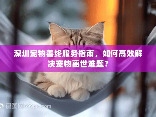 深圳宠物善终服务指南，如何高效解决宠物离世难题？