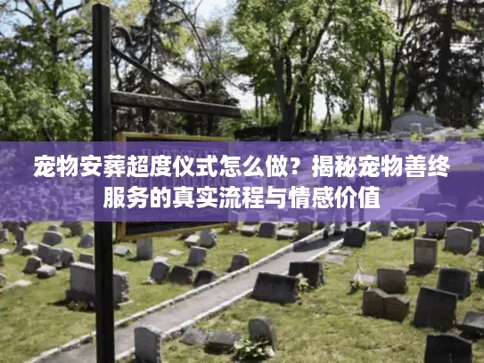 宠物安葬超度仪式怎么做？揭秘宠物善终服务的真实流程与情感价值