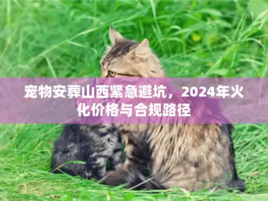 宠物安葬山西紧急避坑，2024年火化价格与合规路径