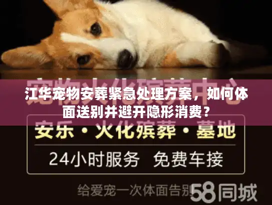 江华宠物安葬紧急处理方案，如何体面送别并避开隐形消费？