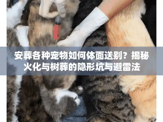 安葬各种宠物如何体面送别？揭秘火化与树葬的隐形坑与避雷法