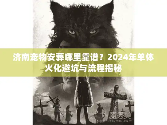 济南宠物安葬哪里靠谱？2024年单体火化避坑与流程揭秘