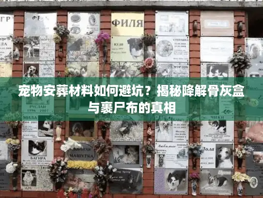宠物安葬材料如何避坑？揭秘降解骨灰盒与裹尸布的真相