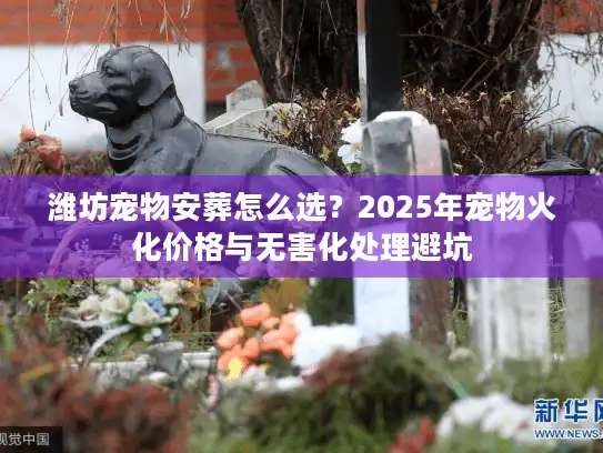 潍坊宠物安葬怎么选？2025年宠物火化价格与无害化处理避坑