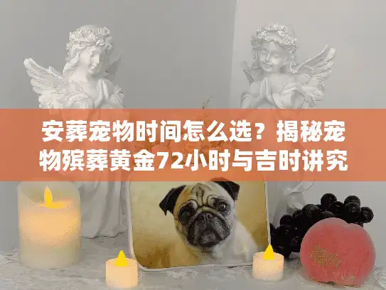 安葬宠物时间怎么选？揭秘宠物殡葬黄金72小时与吉时讲究