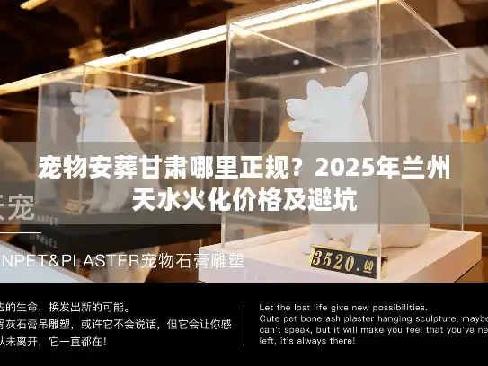 宠物安葬甘肃哪里正规？2025年兰州天水火化价格及避坑