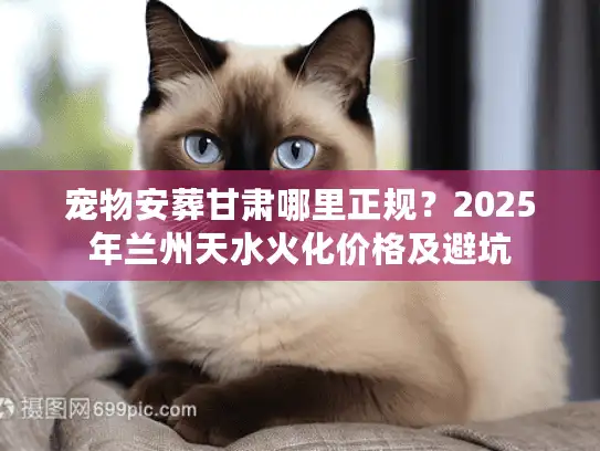 宠物安葬甘肃哪里正规？2025年兰州天水火化价格及避坑