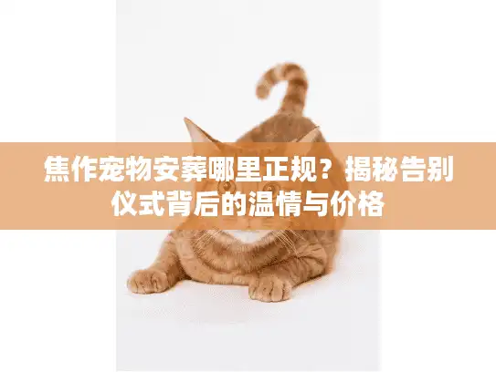 焦作宠物安葬哪里正规？揭秘告别仪式背后的温情与价格